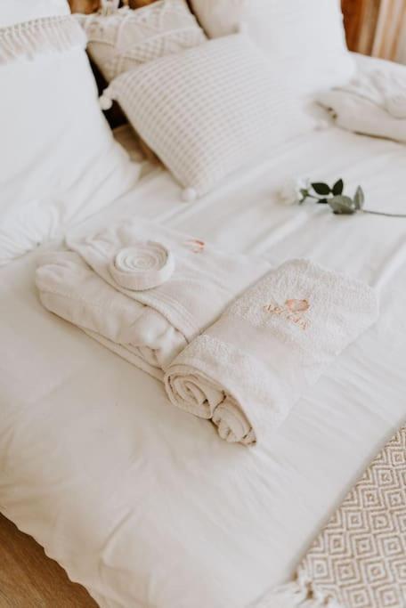 Suite De Charme Avec Jacuzzi Et Cabine Infrarouge Tubize ภายนอก รูปภาพ